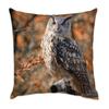 Fabulous Velvet Pillow Cover, White, Owl on a Branch in Autumn, Wild Forest, 40 x 40 cm, Velvet-Soft view 1