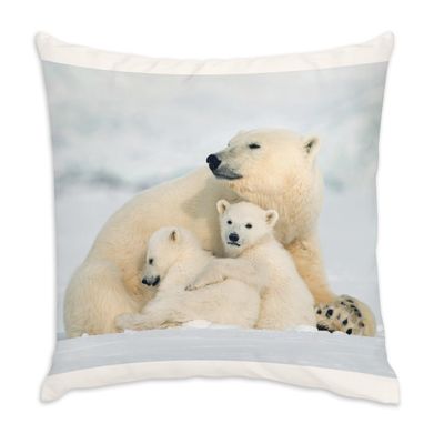 Fabulous Velvet-Feel Cushion, Mother Polar Bear and Cubs, 40 x 40 cm, Cover and Insert Included