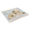 Fabulous Velvet-Feel Cushion, Mother Polar Bear and Cubs, 40 x 40 cm, Cover and Insert Included view 2