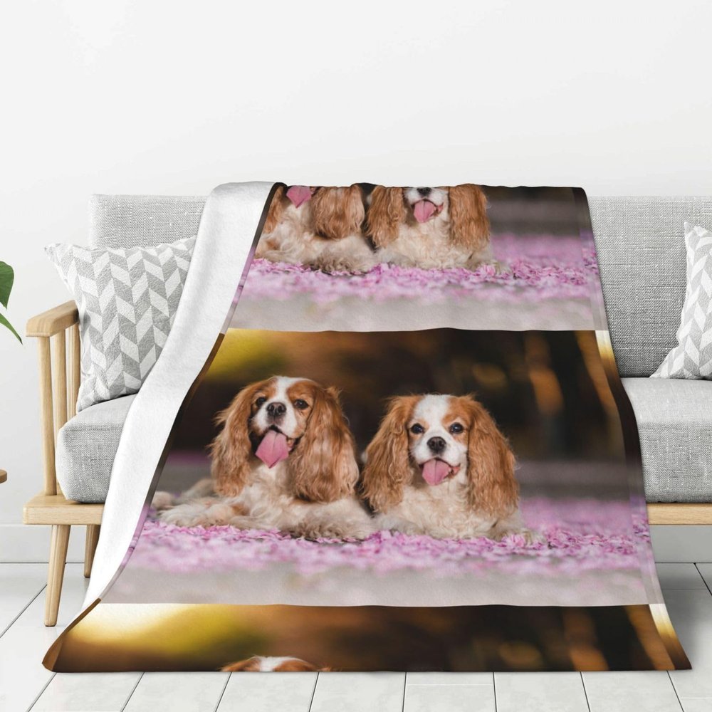 Cavalier King Charles Spaniel White and Brown Dogs Cozy Blanket, Warm Flannel Fleece Throw, 60 x 80 in