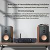 BRZHIFI L1B Class A 2.1-Channel Preamplifier view 4