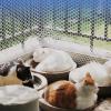 GENSNRY White Plastic Hexagonal Poultry Netting, 0.5 x 25 m view 3