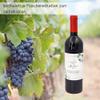 MilaBoo Bottle Label 11 x 11 cm for Wine, Sparkling Wine, or Other Bottles view 3