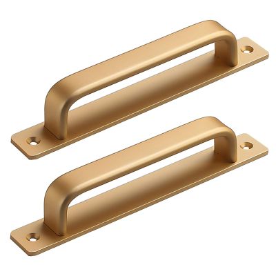RBUDSPOLF 2-Piece Door Pull Handle Set, 160 mm Hole Spacing
