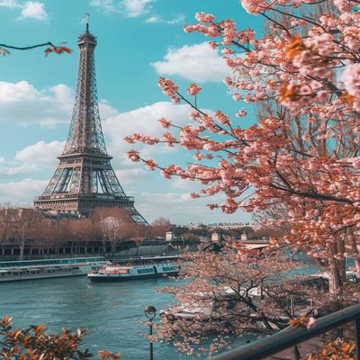 5D Diamond Painting for Adults, Tree and Eiffel Tower, DIY Round Diamond Painting Set, 50 x 70 cm