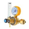HEALBYBLE G5/8-Inch Gas Regulator with Flow Meter, 0.25 MPa view 2