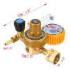 HEALBYBLE G5/8-Inch Gas Regulator with Flow Meter, 0.25 MPa view 3