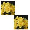KLWQR Hand Towels with Yellow Roses, Microfiber, Absorbent, Soft, Decorative, 2-Pack view 3