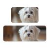Maltese Dog Printed Doormats, 2-Piece Set view 1