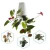 Milageto Hanging Flower Pot, Self-Watering Planter Basket, Upside-Down Plant Pot, White view 3