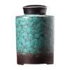 esmen Sealed Ceramic Tea Canister, Blue, 360 ml view 1