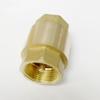 1-Piece Brass Female-to-Female Threaded Vertical-Lift Spring One-Way (Non-Return) Valve, 1/2", 3/4", 1", 1-1/4", 1-1/2", or 2" view 2