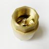 1-Piece Brass Female-to-Female Threaded Vertical-Lift Spring One-Way (Non-Return) Valve, 1/2", 3/4", 1", 1-1/4", 1-1/2", or 2" view 3