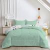 Qiwagu 4-Season Reversible Quilt 200 x 200 cm, Light Green, 200 GSM, with 2 Pillowcases view 3
