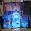 Indoor Aquarium Pond Liner with Steel Frame and Viewing Panel, Canvas, for Koi and Goldfish, Blue/Transparent, 150 x 100 x 71 cm view 2