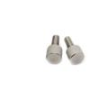 MIKFESPO M2 M2.5 M3 M4 M5 M6 304 Stainless Steel Flat Round-Head Knurled Screw, Tool-Free Adjustment (30 mm, M6, 2 pcs) view 1