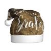 AMINNU Inspirational Quote Santa Hats for Adults, Unisex Plush Christmas Party Hats view 1