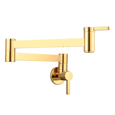 Wall-Mounted Folding Pot Filler Faucet, Single Cold Water, Titanium