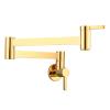 Wall-Mounted Folding Pot Filler Faucet, Single Cold Water, Titanium view 1