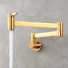 Wall-Mounted Folding Pot Filler Faucet, Single Cold Water, Titanium view 2