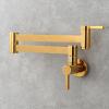 Wall-Mounted Folding Pot Filler Faucet, Single Cold Water, Titanium view 4