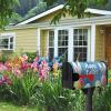 Dacawin Magnetic Easter Bunny Mailbox Cover, 53.3 x 65.5 cm, Blue view 2