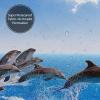AABSTBFM 3D Dolphin Printed Fabric Shower Curtain, 152 x 183 cm, with 12 Hooks view 4