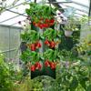 YEZIDE Hanging Planting Bags, Strawberry Planter Bags, 3-Pack view 4