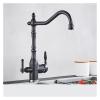 DPNABQOOQ Antique Brass Filtered Kitchen Faucet, Hot and Cold Mixer Tap, 360° Swivel, Black Chrome view 1