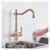 DPNABQOOQ Antique Brass Filtered Kitchen Faucet, Hot and Cold Mixer Tap, 360° Swivel, Black Chrome view 2
