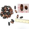 40 Oval Wooden Beads, 13 x 25 mm, 4 mm Hole, Mixed Colors view 2