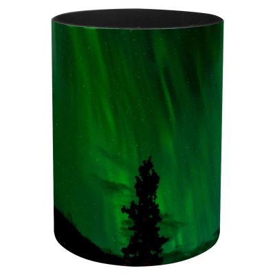 Eslifey Green Aurora Iron Pen Holder