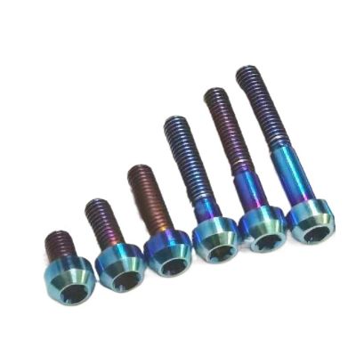Titanium Alloy Torx Head Screw, Burnt Blue, 1 Piece, 20 mm x M8
