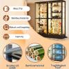 Ddasam Wooden Display Cabinet, 172 × 70 × 33 cm, 5 Compartments view 3