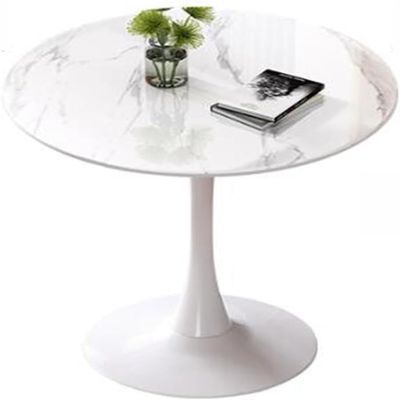 RCJCQSR Round 60/70/80 cm Kitchen Dining Table, Tulip Design, Modern Sintered Stone Marble Top, Dining Room Table with Metal Legs, Living Room Decor (Size: 80 cm, Color: White)
