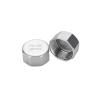 304 Stainless Steel Hexagonal Pipe Cap, Female Thread, AUOQKQUT (304 DN6) view 1