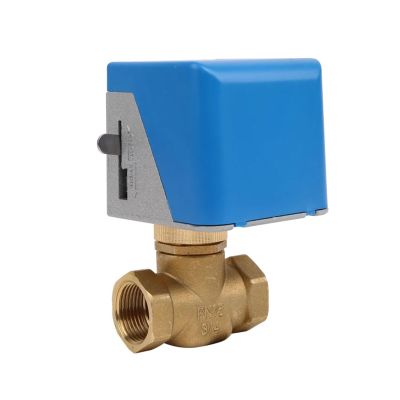 Brass Globe Valve, 2-Wire, DN25, Motorized 3-Way, 110 V AC