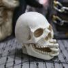 Halloween Skull Head Decoration view 3
