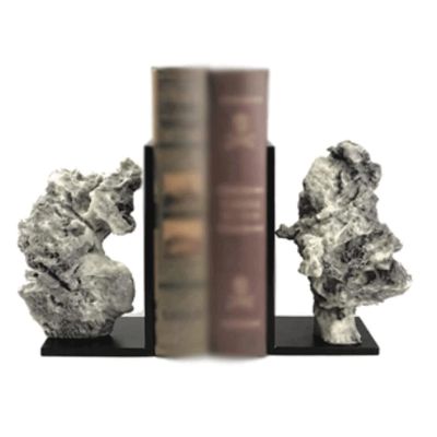 YTGHBIML Decorative Resin Bookends, 1 Pair