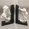 YTGHBIML Decorative Resin Bookends, 1 Pair view 2