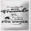 FEMER Metal Sign “Best Friends Forever,” 10 x 27 cm view 1