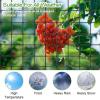 Heavy-Duty Garden Trellis Netting with Hooks view 4