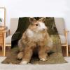 BIAFRA Plush Rabbit Flannel Throw Blanket, 135 x 200 cm view 1