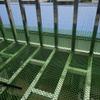 Decorative Privacy Fence for Child Safety, Plastic Poultry Netting, 2 cm Mesh view 4
