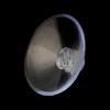 Cnrfeoap Transparent Mushroom-Head Suction Cups, 2.5 cm view 4