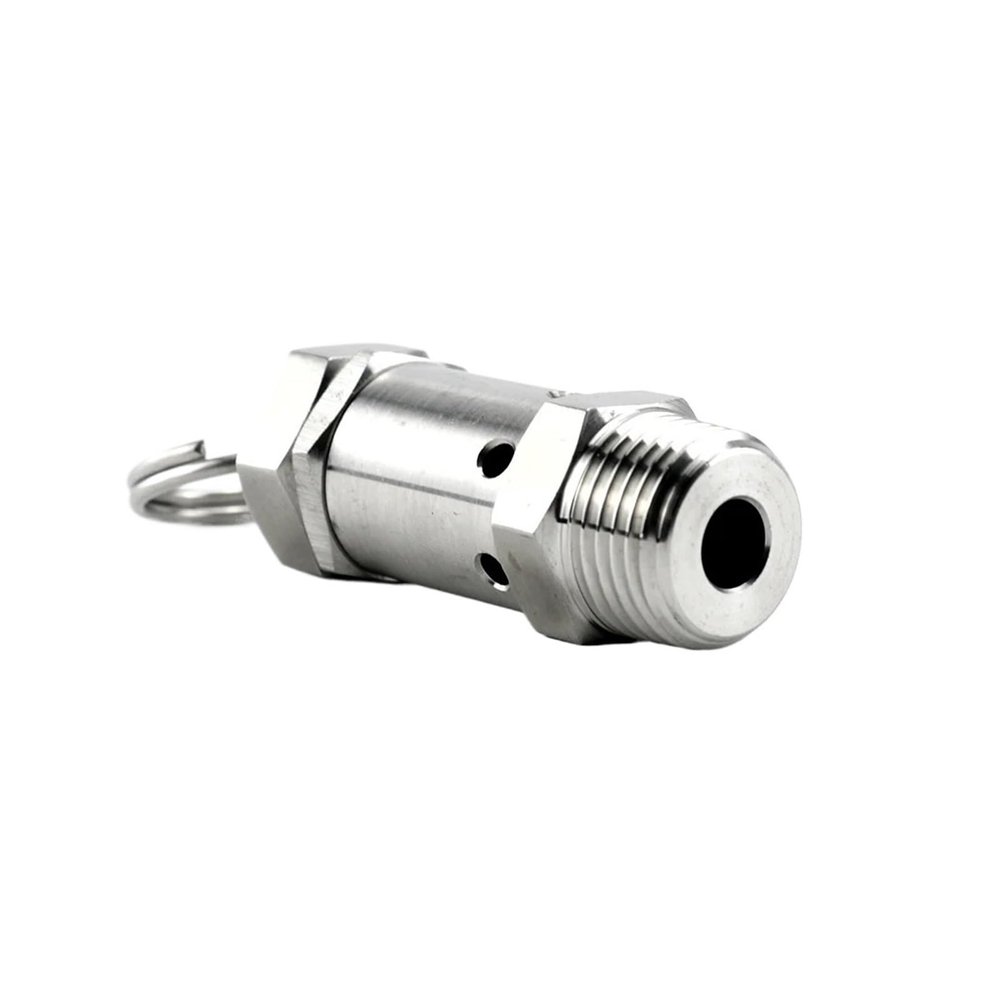 EVBELGBPZ Stainless Steel 304 Pressure Relief Valve, 1/4"/1/2", 0.5–10 Bar, DN8 (4 Bar)