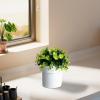 Hidden Money Container Pot Safe view 2