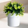 Hidden Money Container Pot Safe view 3