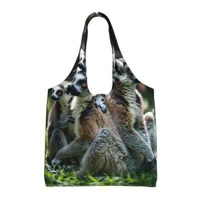 Eco-Friendly Canvas Tote Bag with Ring-Tailed Lemur Design, 36 x 32 cm, Black, One Size