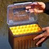 Naqqios Fishing Tackle Box Organizer with Transparent Lid view 3